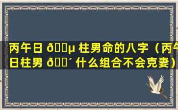 丙午日 🌵 柱男命的八字（丙午日柱男 🐴 什么组合不会克妻）